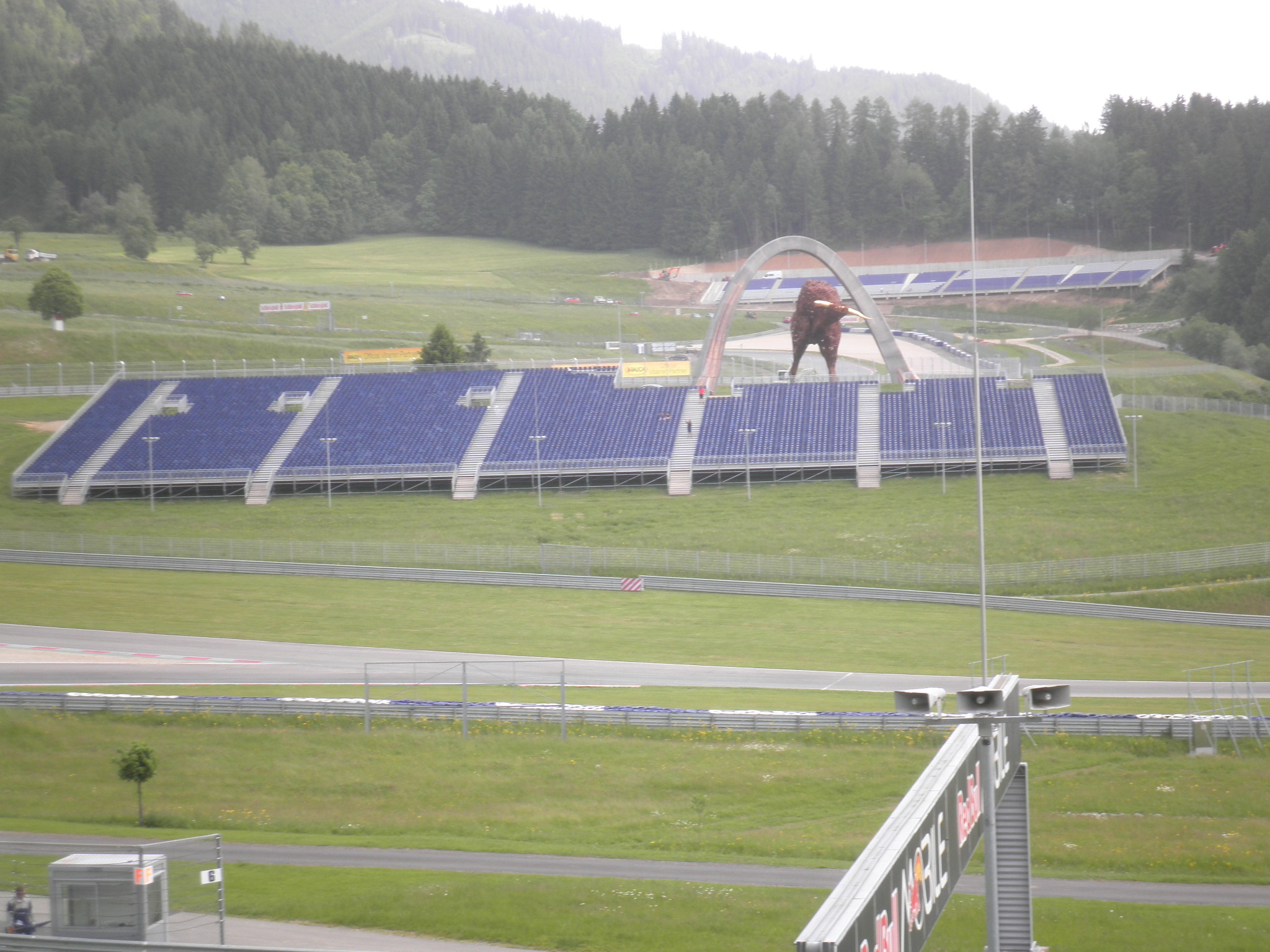 Il Toro non  pi solo! 